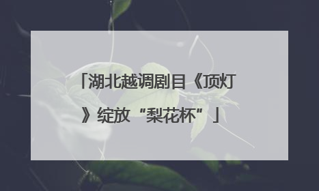湖北越调剧目《顶灯》绽放“梨花杯”