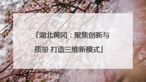 湖北黄冈：聚焦创新与质量 打造三维新模式