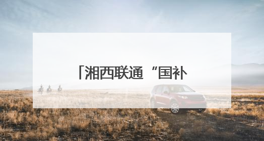 湘西联通“国补进村”让数字化红利惠及乡村