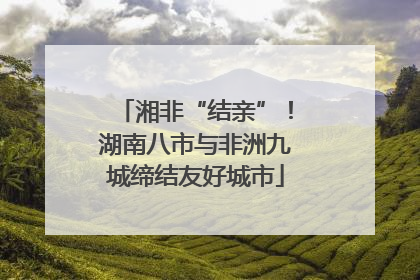 湘非“结亲”！湖南八市与非洲九城缔结友好城市