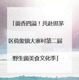 菌香四溢！共赴思茅区倚象镇大寨村第二届野生菌美食文化季