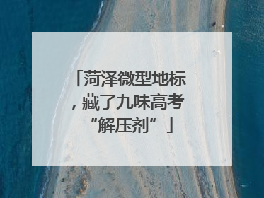 菏泽微型地标，藏了九味高考“解压剂”