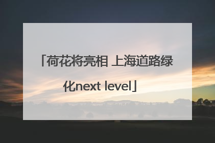 荷花将亮相 上海道路绿化next level