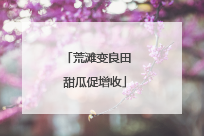 荒滩变良田 甜瓜促增收