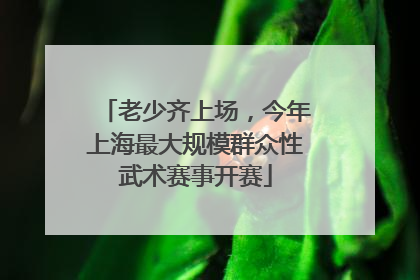 老少齐上场，今年上海最大规模群众性武术赛事开赛