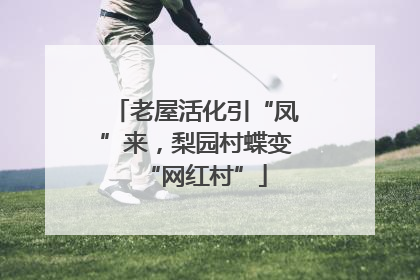老屋活化引“凤”来，梨园村蝶变“网红村”