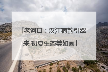 老河口：汉江荷韵引翠来 初夏生态美如画