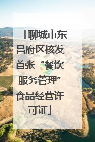 聊城市东昌府区核发首张“餐饮服务管理”食品经营许可证