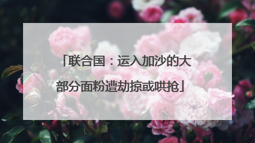 联合国：运入加沙的大部分面粉遭劫掠或哄抢