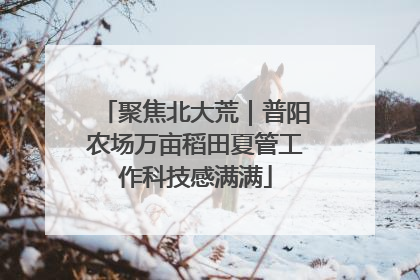 聚焦北大荒｜普阳农场万亩稻田夏管工作科技感满满