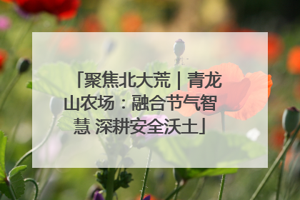 聚焦北大荒｜青龙山农场：融合节气智慧 深耕安全沃土