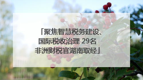 聚焦智慧税务建设、国际税收治理 29名非洲财税官湖南取经