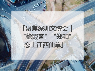 聚焦深圳文博会｜“徐霞客”“郑和”恋上江西仙草