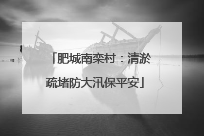 肥城南栾村：清淤疏堵防大汛保平安