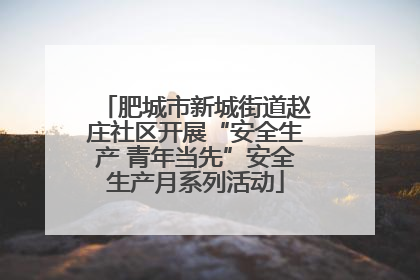 肥城市新城街道赵庄社区开展“安全生产 青年当先”安全生产月系列活动