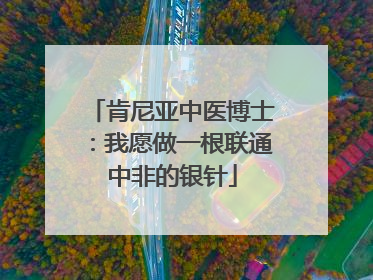 肯尼亚中医博士：我愿做一根联通中非的银针