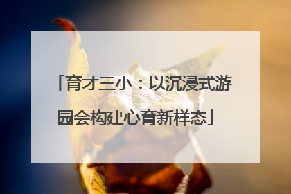 育才三小：以沉浸式游园会构建心育新样态