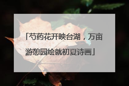 芍药花开映台湖，万亩游憩园绘就初夏诗画