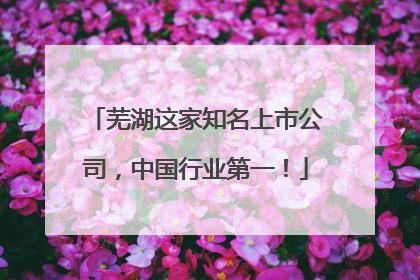芜湖这家知名上市公司，中国行业第一！