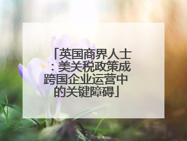 英国商界人士：美关税政策成跨国企业运营中的关键障碍