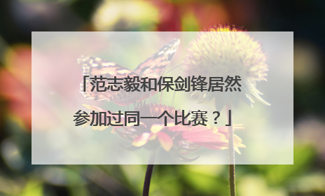 范志毅和保剑锋居然参加过同一个比赛？