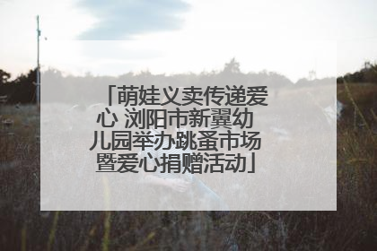 萌娃义卖传递爱心 浏阳市新翼幼儿园举办跳蚤市场暨爱心捐赠活动