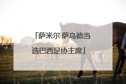 萨米尔·萨乌德当选巴西足协主席