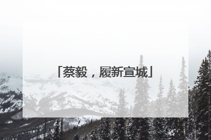 蔡毅，履新宣城