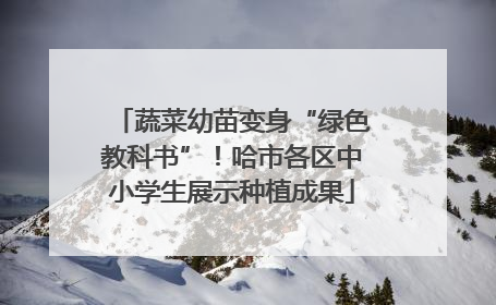 蔬菜幼苗变身“绿色教科书”！哈市各区中小学生展示种植成果