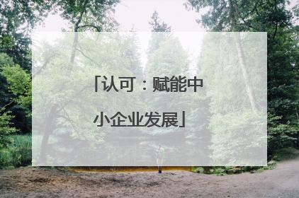 认可：赋能中小企业发展