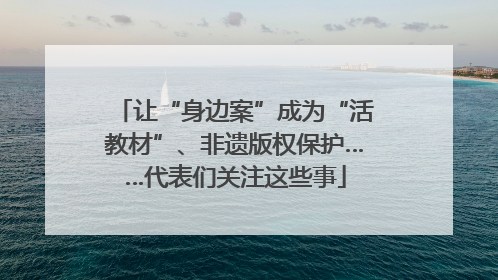 让“身边案”成为“活教材”、非遗版权保护……代表们关注这些事