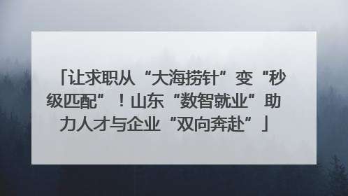 让求职从“大海捞针”变“秒级匹配”！山东“数智就业”助力人才与企业“双向奔赴”