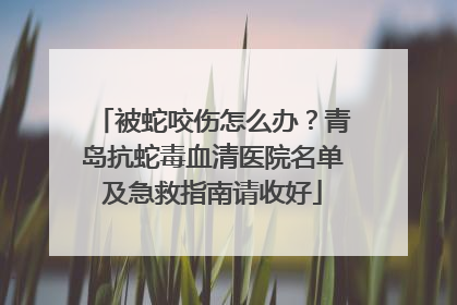被蛇咬伤怎么办？青岛抗蛇毒血清医院名单及急救指南请收好