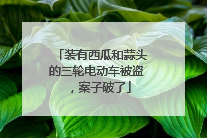 装有西瓜和蒜头的三轮电动车被盗，案子破了