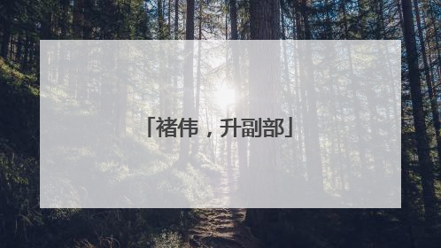 褚伟，升副部