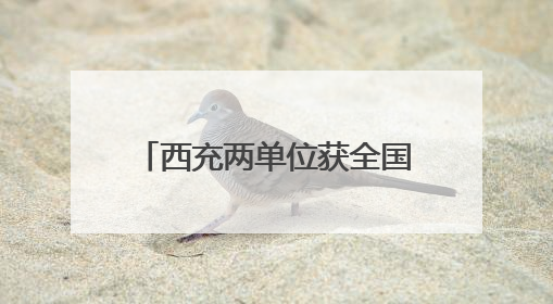 西充两单位获全国精神文明建设大奖