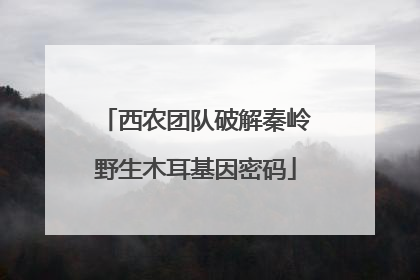 西农团队破解秦岭野生木耳基因密码