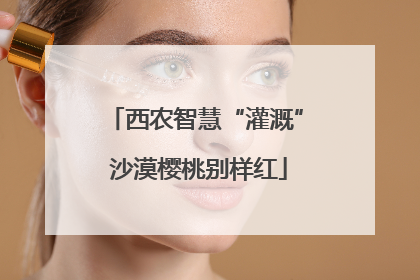 西农智慧“灌溉” 沙漠樱桃别样红