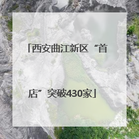 西安曲江新区“首店”突破430家