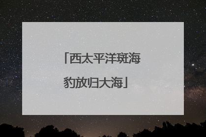 西太平洋斑海豹放归大海