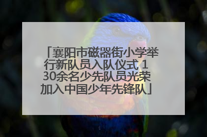 襄阳市磁器街小学举行新队员入队仪式 130余名少先队员光荣加入中国少年先锋队