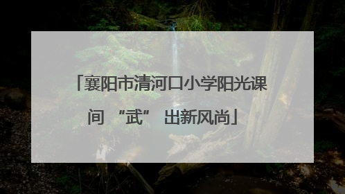 襄阳市清河口小学阳光课间 “武” 出新风尚
