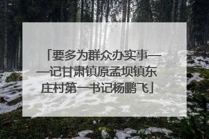 要多为群众办实事——记甘肃镇原孟坝镇东庄村第一书记杨鹏飞