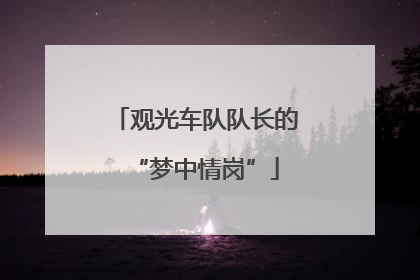观光车队队长的“梦中情岗”