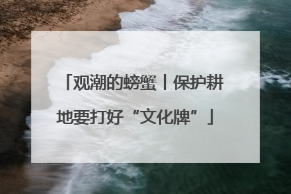 观潮的螃蟹丨保护耕地要打好“文化牌”