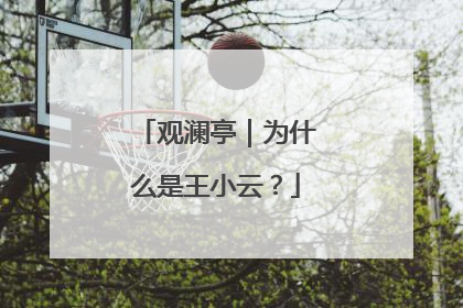 观澜亭｜为什么是王小云？