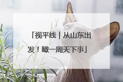 视平线｜从山东出发！瞰一周天下事
