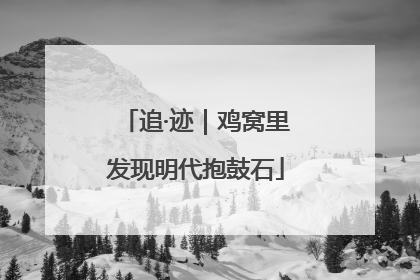 追·迹｜鸡窝里发现明代抱鼓石