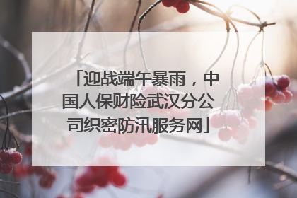 迎战端午暴雨，中国人保财险武汉分公司织密防汛服务网