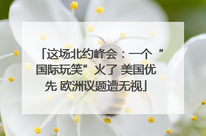 这场北约峰会：一个“国际玩笑”火了 美国优先 欧洲议题遭无视